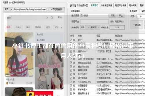 小红书博主都在偷偷用的查重神器！轻松过审月入5万+