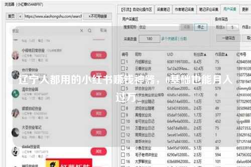 辽宁人都用的小红书赚钱神器，0基础也能月入过万